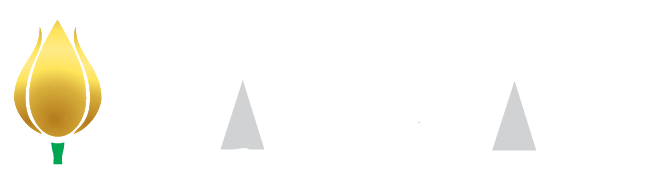 Haddad Organização
